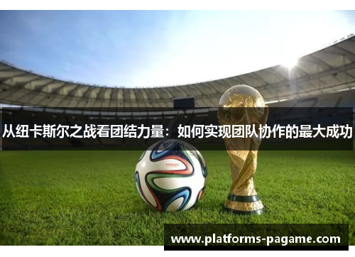 从纽卡斯尔之战看团结力量：如何实现团队协作的最大成功