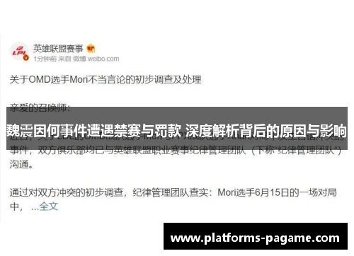 魏震因何事件遭遇禁赛与罚款 深度解析背后的原因与影响