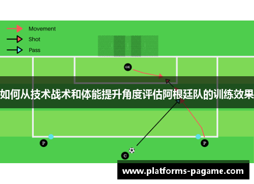 如何从技术战术和体能提升角度评估阿根廷队的训练效果