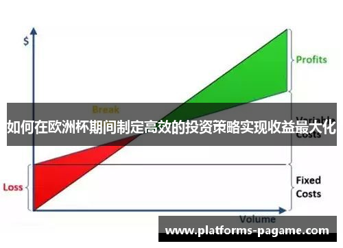 如何在欧洲杯期间制定高效的投资策略实现收益最大化 如何在欧洲杯期间制定高效的投资策略实现收益最大化