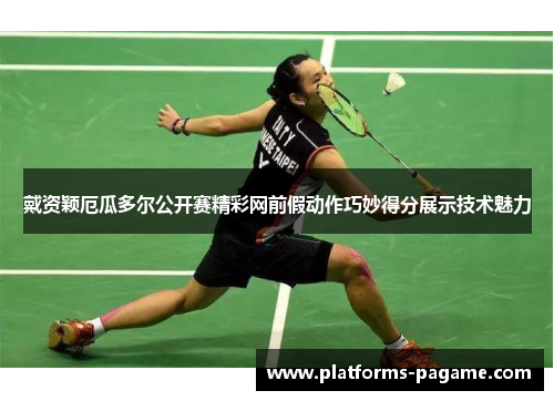 戴资颖厄瓜多尔公开赛精彩网前假动作巧妙得分展示技术魅力