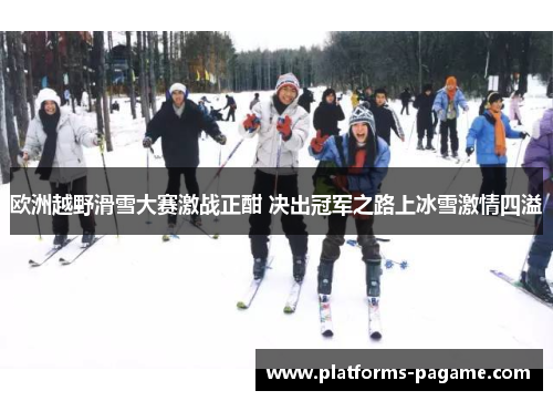 欧洲越野滑雪大赛激战正酣 决出冠军之路上冰雪激情四溢