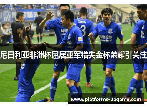 尼日利亚非洲杯屈居亚军错失金杯荣耀引关注