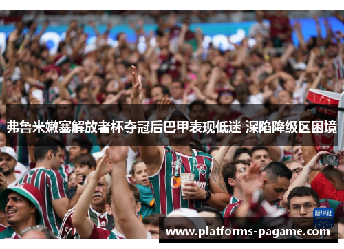 弗鲁米嫩塞解放者杯夺冠后巴甲表现低迷 深陷降级区困境