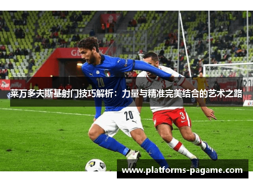 莱万多夫斯基射门技巧解析：力量与精准完美结合的艺术之路