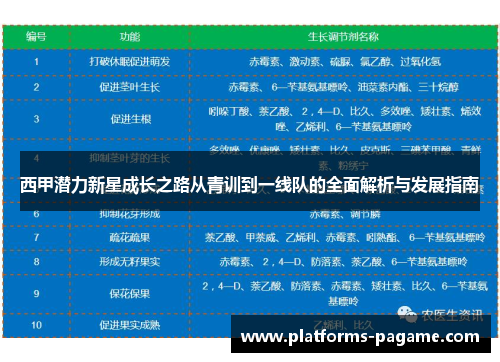 西甲潜力新星成长之路从青训到一线队的全面解析与发展指南