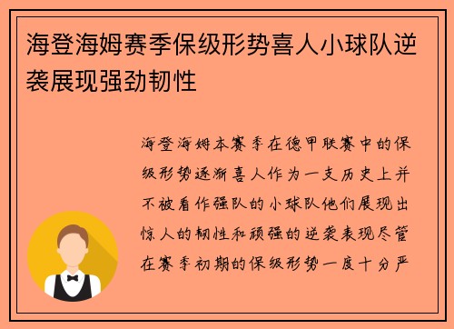 海登海姆赛季保级形势喜人小球队逆袭展现强劲韧性